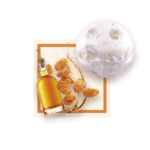 Rum and Raisin Ice Cream 2.5L