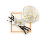 Glace vanille 2.5L