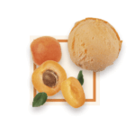 Apricot Sorbet 2.5L