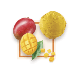 Sorbet Mangue 2.5L