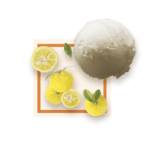 Sorbet Yuzu 1.5L