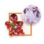Glace Amarena 2.5L