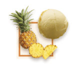 Sorbet Ananas 2.5L