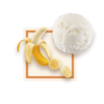 Sorbet Banane 2.5L