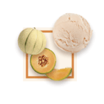 Sorbet Melon 2.5L